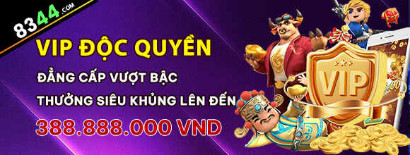 Hình ảnh quảng cáo của 3389 hiển thị nền tảng và các lợi ích