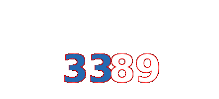 3389